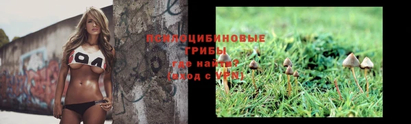 гидропоника Армянск