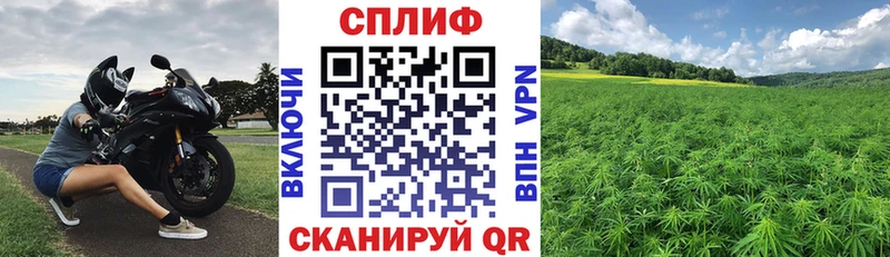 Шишки марихуана White Widow  hydra как войти  Сокол 